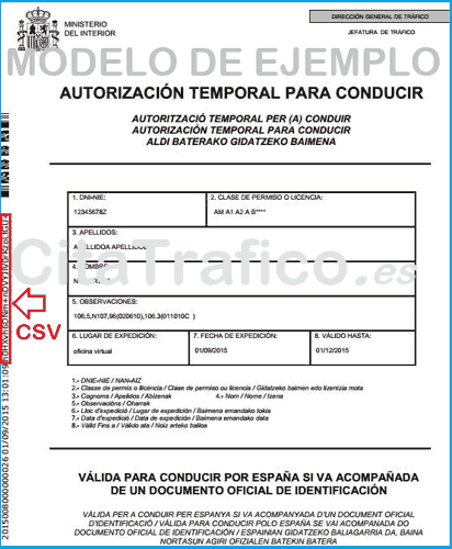 carnet conducir provisional DGT