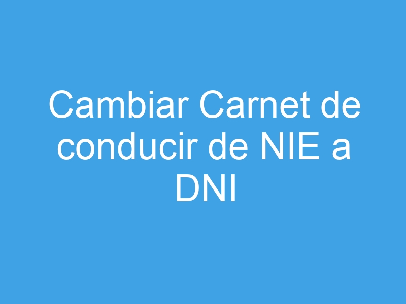 cambiar carnet de conducir de nie a dni 5230