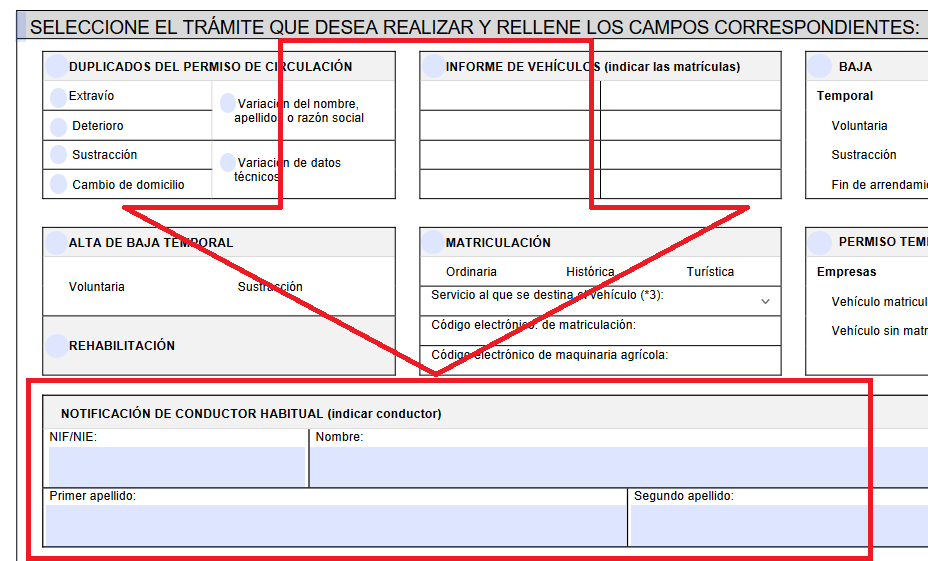 Detalle impreso dar de alta conductor habitual a DGT